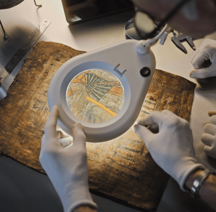 Conservation & Restoration